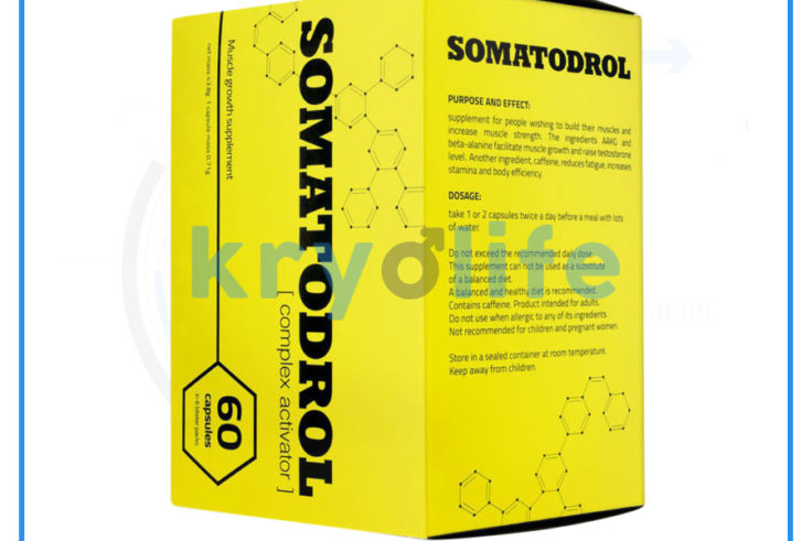 Somatodrol