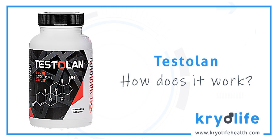 How does Testolan work