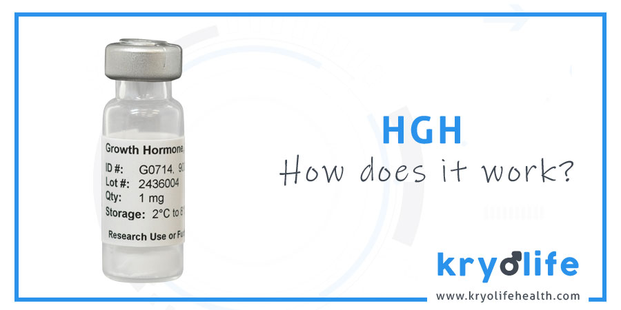 How does HGH work