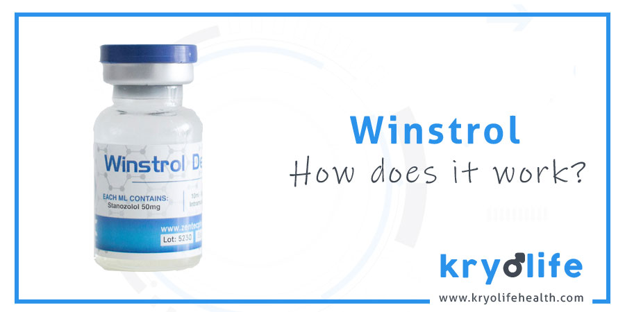 How does Winstrol work