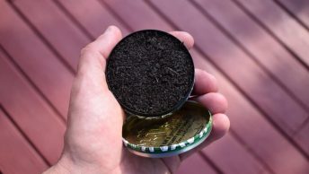 chewing tobacco testosterone