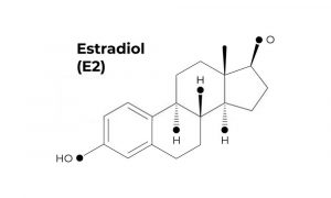 estradiol vs testosterone