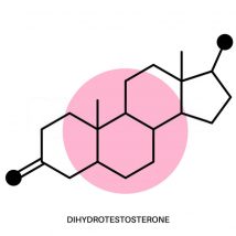 dht testosterone