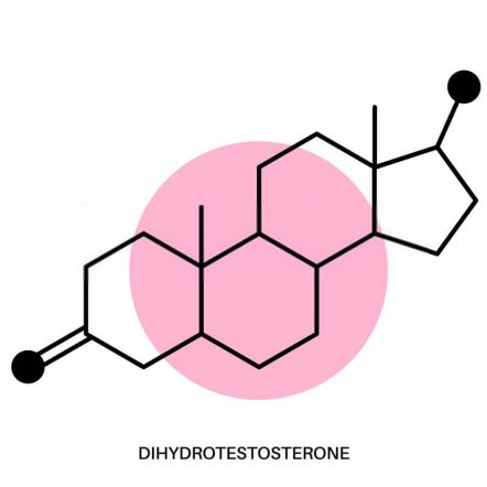 dht testosterone